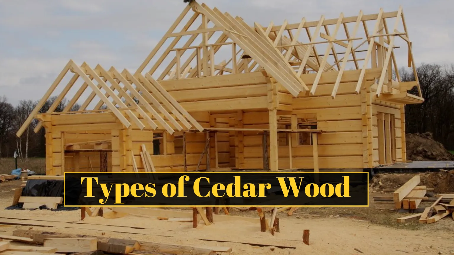 Types of cedar wood